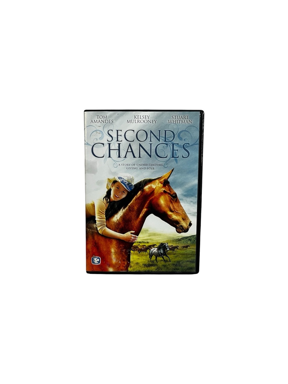 Second Chances (DVD, 2009) Tom Amandes Kelsey Mulrooney Stuart Whitman